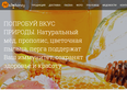продвижение сайта